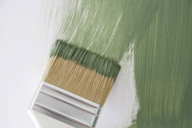 Mold Odor Removal Services in Galena Park, TX