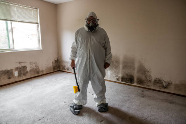 Professional Mold Removal in Galena Park, TX